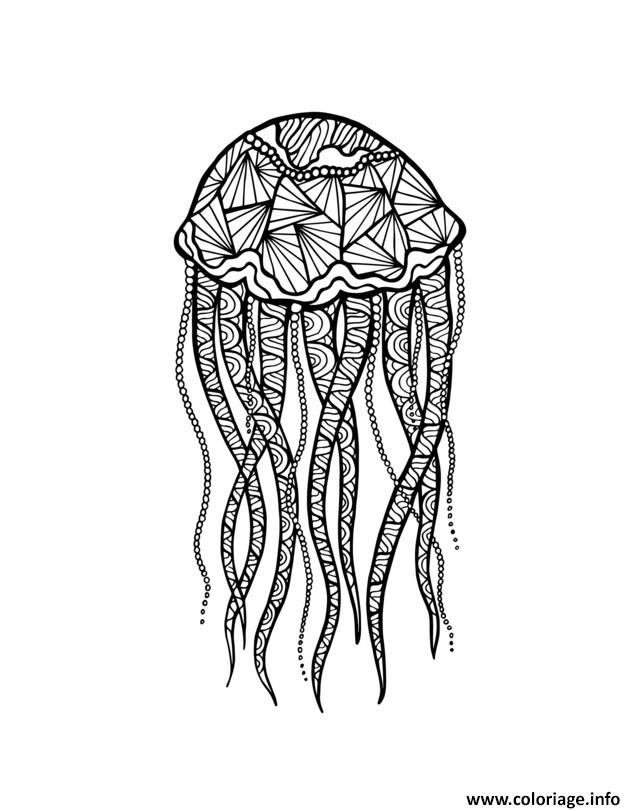 Dessin adulte zentangle meduse par meggichka  Coloriage Gratuit à Imprimer
